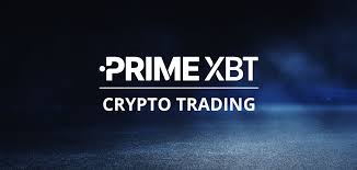 Exploring the Dynamics of PrimeXBT Community