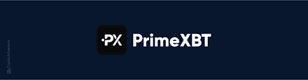 Exploring the Dynamics of PrimeXBT Community